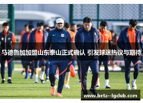 马德鲁加加盟山东泰山正式确认 引发球迷热议与期待