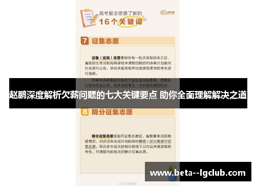 赵鹏深度解析欠薪问题的七大关键要点 助你全面理解解决之道