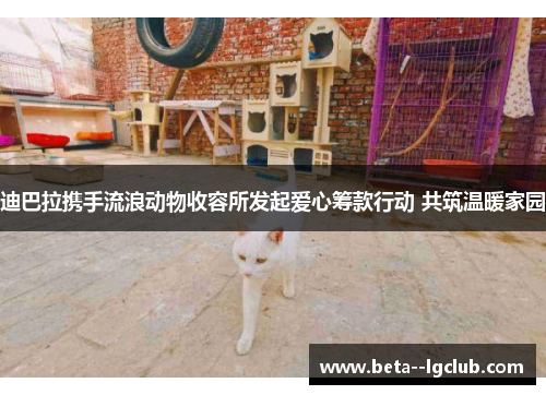 迪巴拉携手流浪动物收容所发起爱心筹款行动 共筑温暖家园 迪巴拉携手流浪动物收容所发起爱心筹款行动 共筑温暖家园