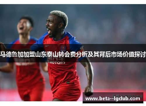 马德鲁加加盟山东泰山转会费分析及其背后市场价值探讨