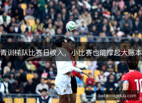 青训梯队比赛日收入,小比赛也能撑起大账本 青训梯队比赛日收入,小比赛也能撑起大账本